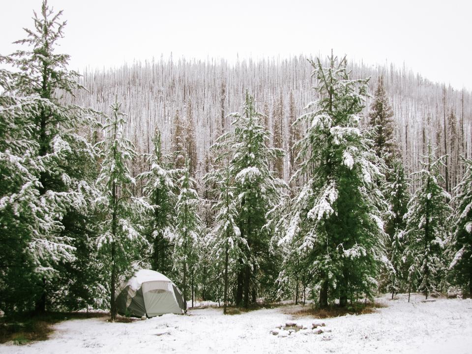 tent camping in the middle of an evergreen forest with snow