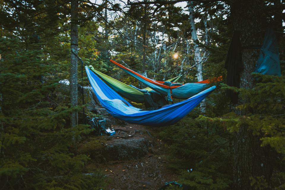 three hammocks suspended from trees with clothing hanging up nearby