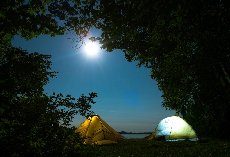 two tents sit under a canopy of trees and look out over a body of water