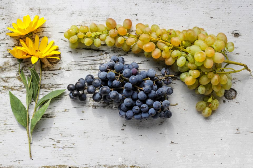 Two bunches of grapes sit on a white, rustic surface with yellow flowers