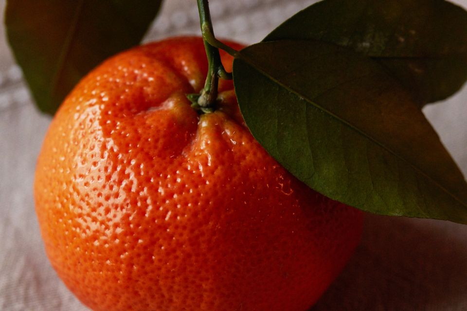 a single clementine with leaf and stem attached