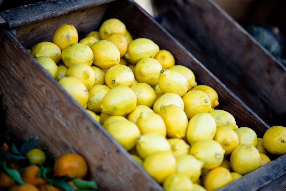 When Life Gives You Lemons: 10 Free Stock Photos of Citrus Fruits