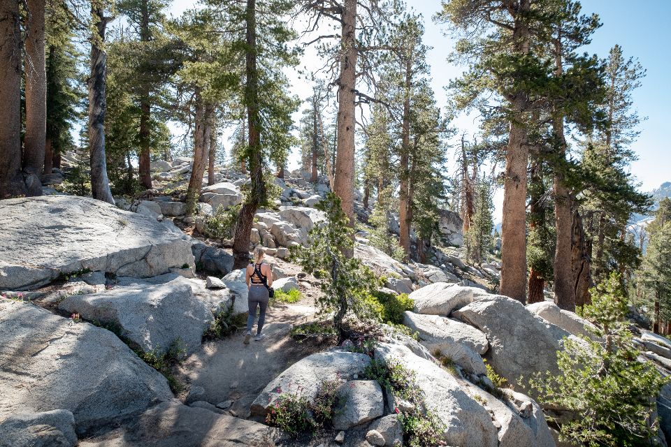 A woman with blonde hair and grey leggings hikes on a rocky trail with tall trees on a sunny day.