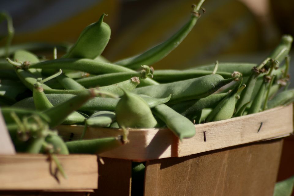 close up image of green beans