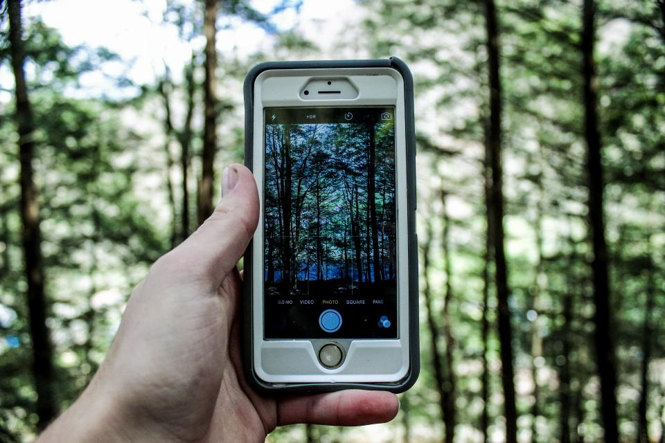 photograph of someone taking a mobile phone image in a forested area