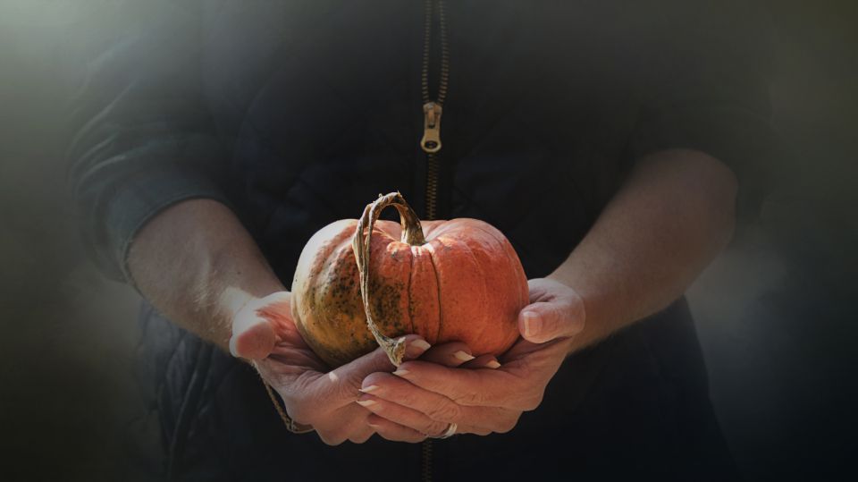 Holding Pumpkin Free Stock Image